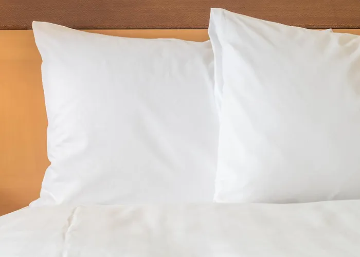 Express Downtown By Ihg 3*